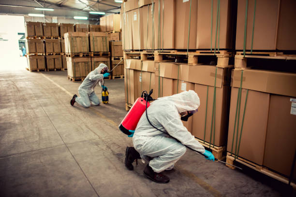 Best Local Pest Control Services  in Ocklawaha, FL