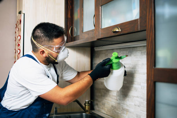 Best Affordable Pest Control Services  in Ocklawaha, FL