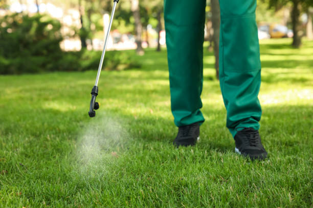 Best Mosquito Control Services  in Ocklawaha, FL