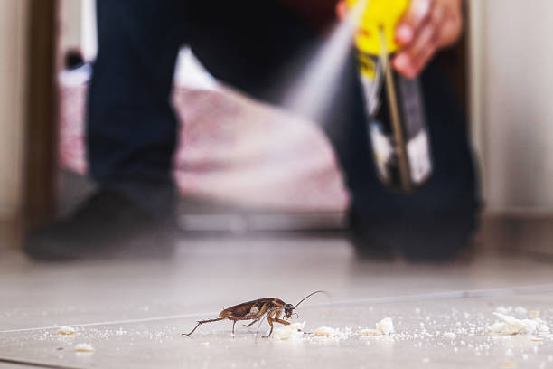 Best Commercial Pest Control Services  in Ocklawaha, FL